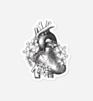 Anatomical Heart Sticker