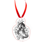 Anatomical Heart Ornament – A Unique Touch