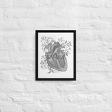 Anatomical Heart Chambers 11x14 Framed Canvas