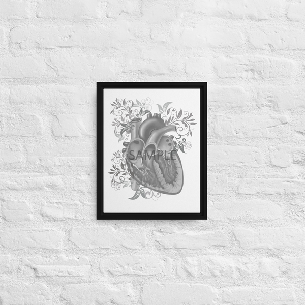 Anatomical Heart Chambers 11x14 Framed Canvas